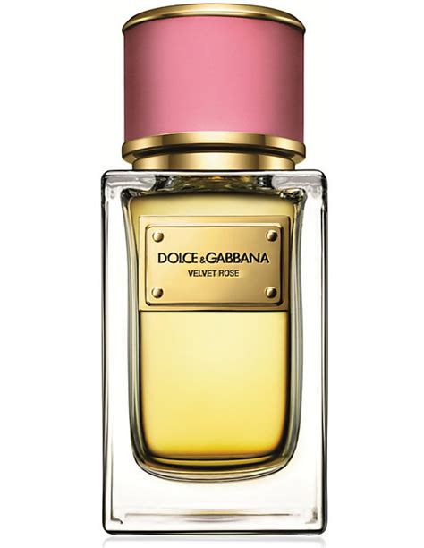 amazon dolce profumo dolce gabbana|dolce gabbana profumo donna.